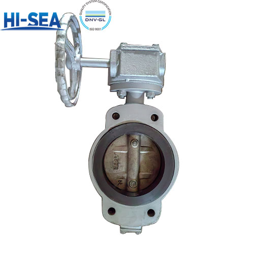 What is the difference between worm gear butterfly valve and handle butterfly valve?